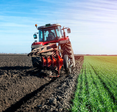 campo cultivo maquina agricola tractor